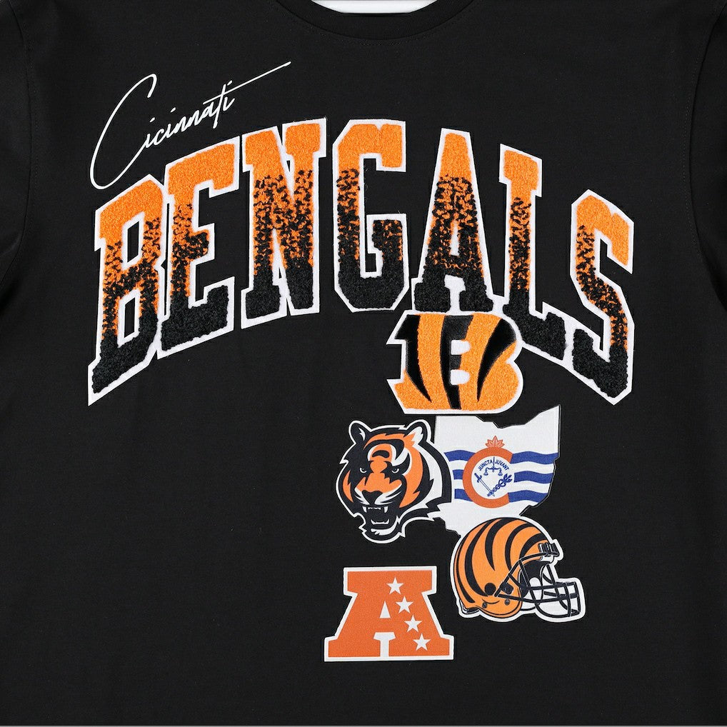 Cincinnati Bengals Pro Standard Hometown Collection T-Shirt Black - NFL