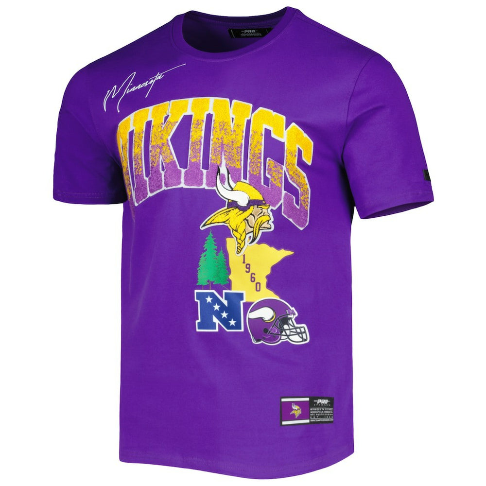 Minnesota Vikings Pro Standard Hometown Collection T-Shirt Purple - NFL