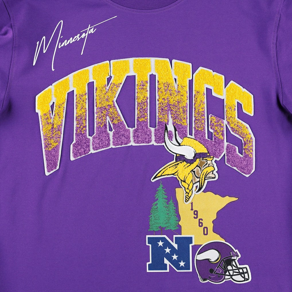 Minnesota Vikings Pro Standard Hometown Collection T-Shirt Purple - NFL