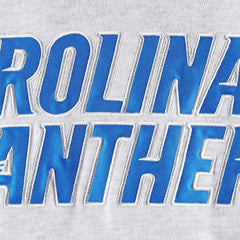 Carolina Panthers '47 Gridiron Lace-Up Pullover Hoodie Heather Gray - 47 brand