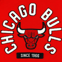NBA - Chicago Bulls Sportiqe Unisex Athos Olson Tri-Blend Pullover Hoodie - Red