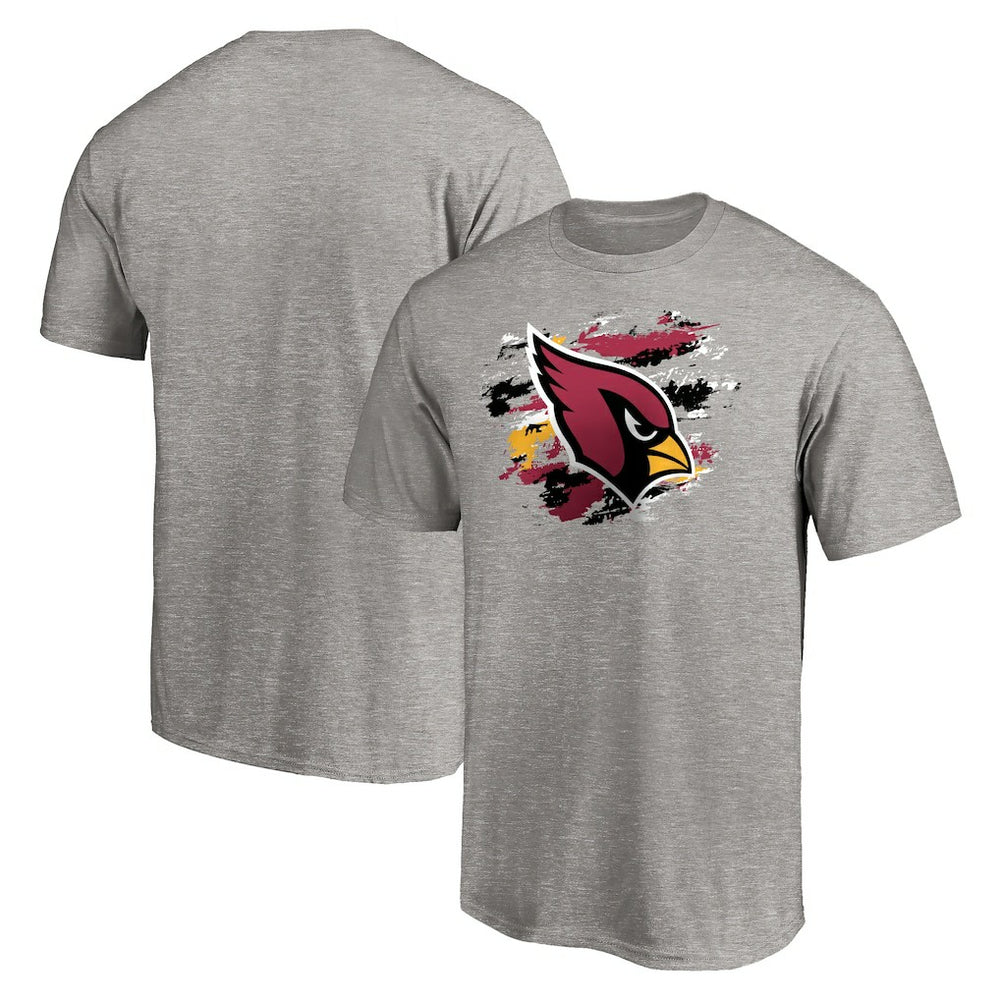 Arizona Cardinals True Color T-Shirt Heather Gray - NFL