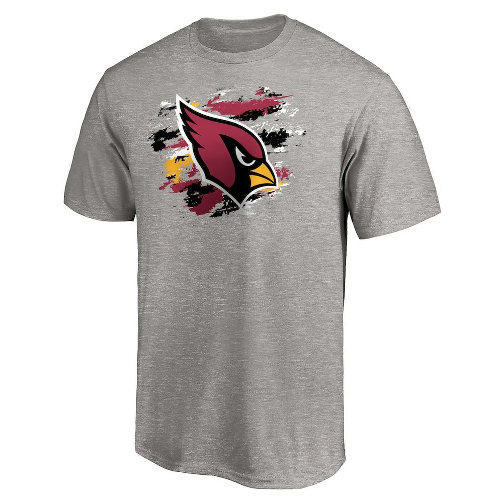 Arizona Cardinals True Color T-Shirt Heather Gray - NFL