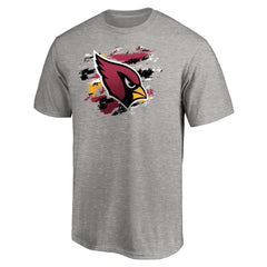 Arizona Cardinals True Color T-Shirt Heather Gray - NFL