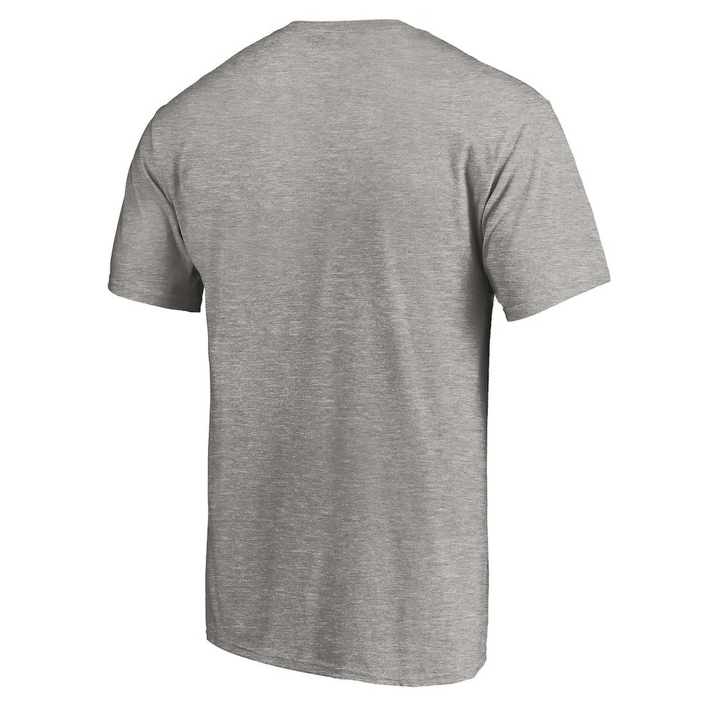 Atlanta Falcons True Color T-Shirt Heather Gray - NFL