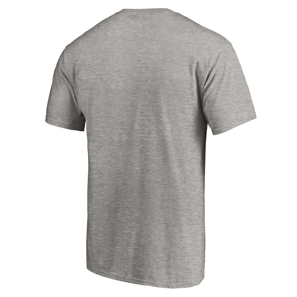 Baltimore Ravens True Color T-Shirt Heather Gray - NFL