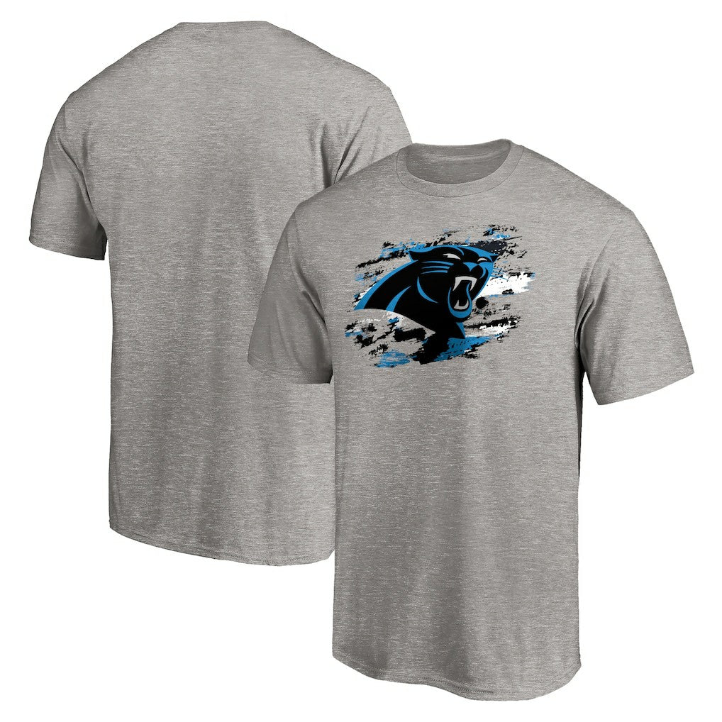 Carolina Panthers True Color T-Shirt Heather Gray - NFL