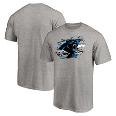 Carolina Panthers True Color T-Shirt Heather Gray - NFL