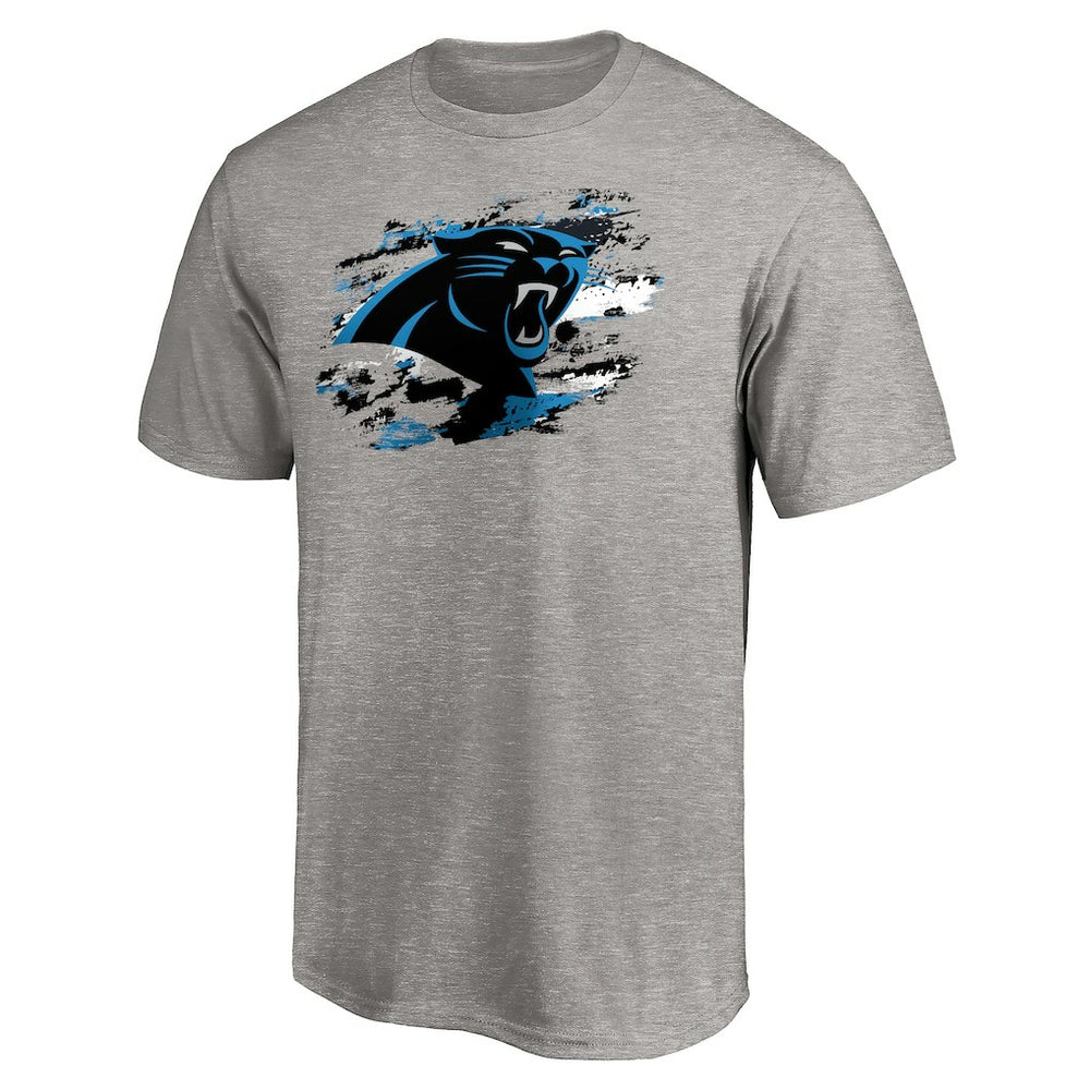 Carolina Panthers True Color T-Shirt Heather Gray - NFL