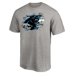 Carolina Panthers True Color T-Shirt Heather Gray - NFL