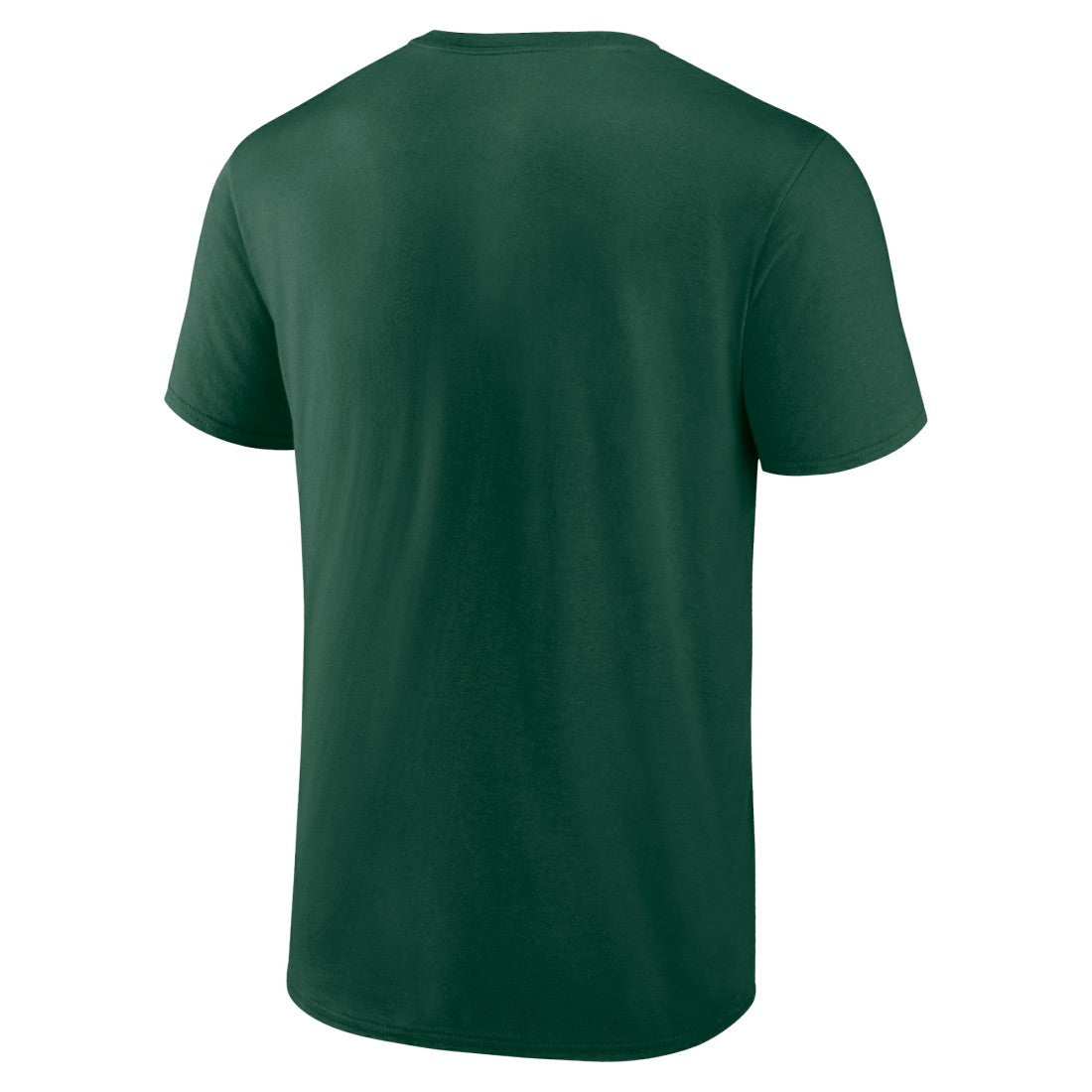 Green Bay Packers Hometown Collection Sweep T-Shirt Green - NFL