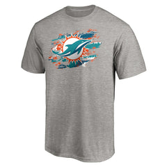 Miami Dolphins True Color T-Shirt Heather Gray - NFL