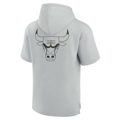 Fanatics - Chicago Bulls Unisex Elements Super Soft Fleece Short Sleeve Pullover Hoodie - Gray