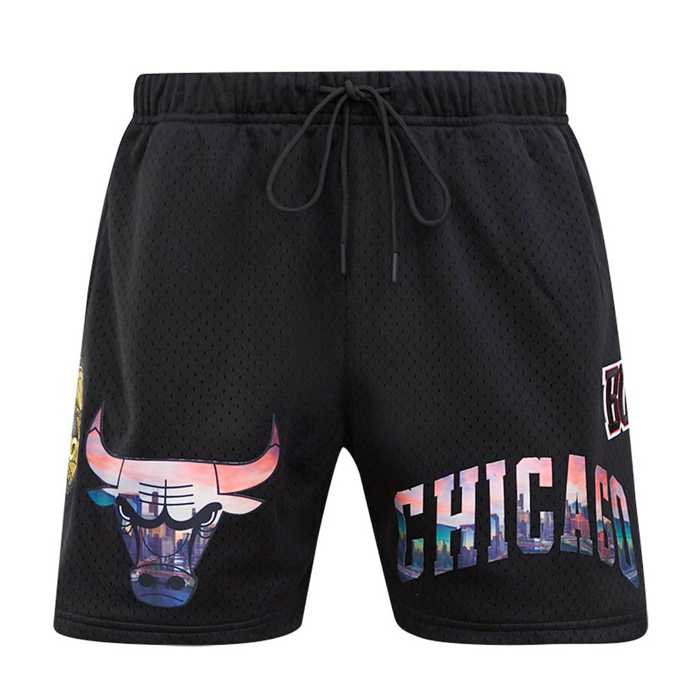 NBA - Chicago Bulls Pro Standard City Scape Mesh Shorts - Black