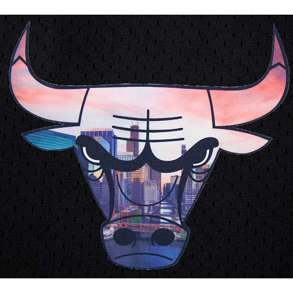 NBA - Chicago Bulls Pro Standard City Scape Mesh Shorts - Black