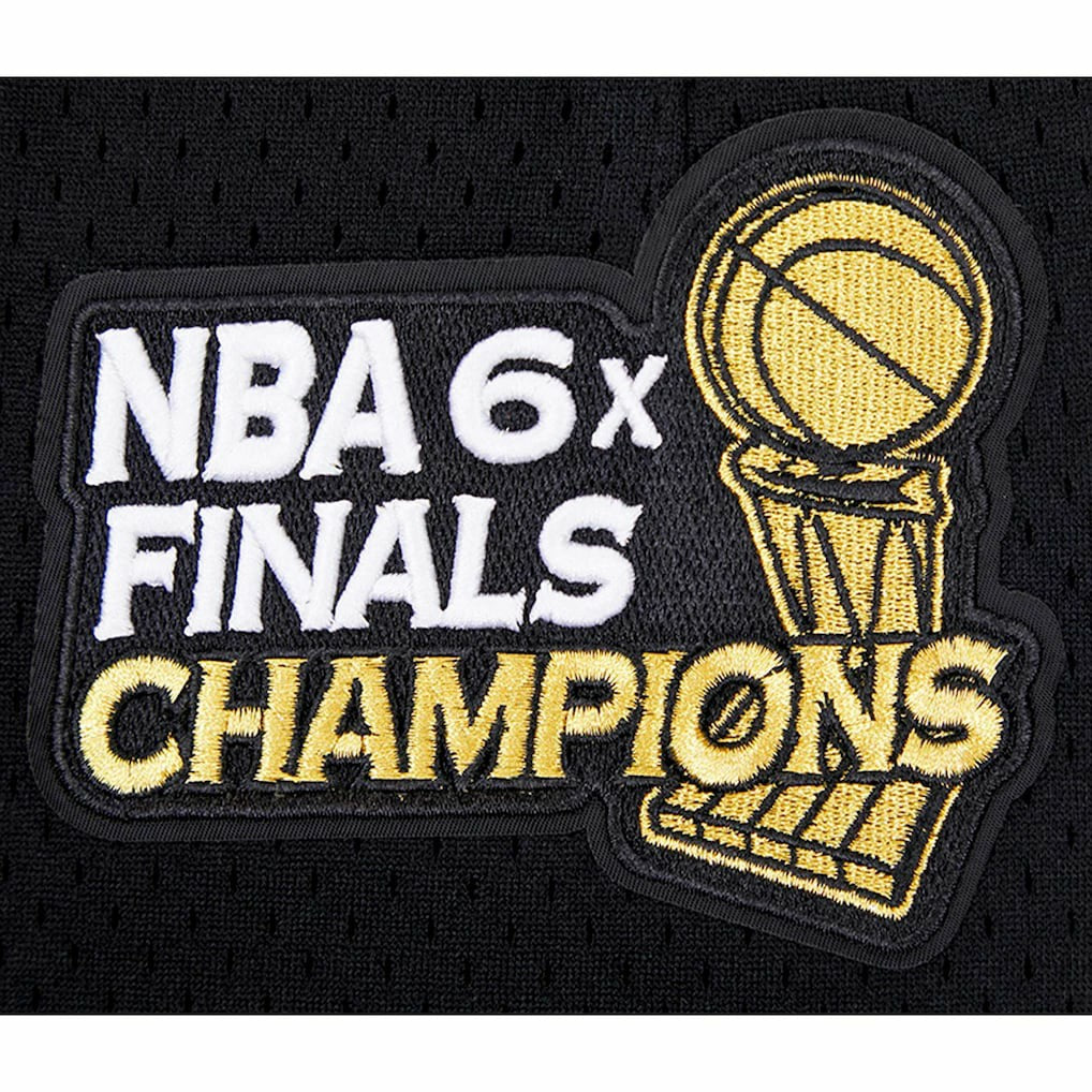 NBA - Chicago Bulls Pro Standard City Scape Mesh Shorts - Black