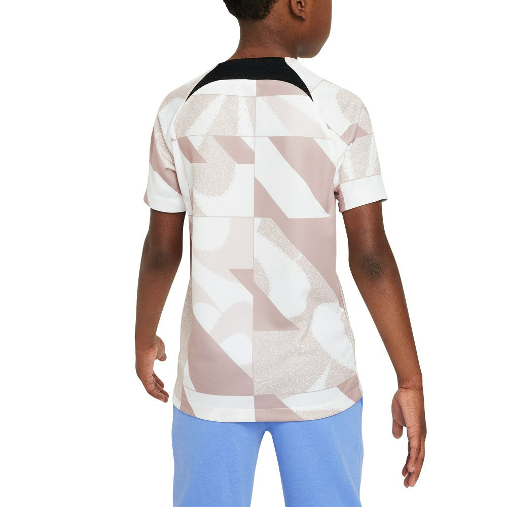 Nike Tottenham Hotspur Youth 2023/24 Academy Pro Performance Pre-Match Top - White