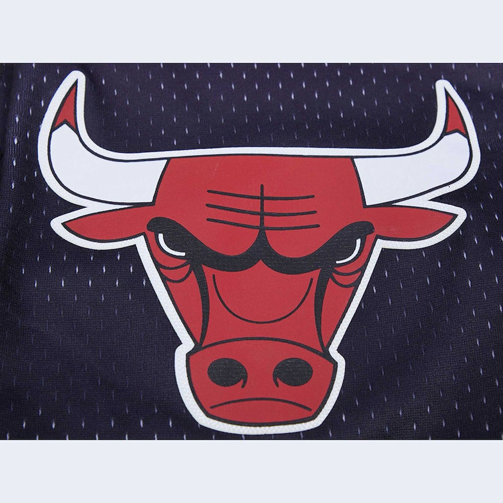 NBA - Chicago Bulls Pro Standard Ombre Mesh Shorts - Black/Red