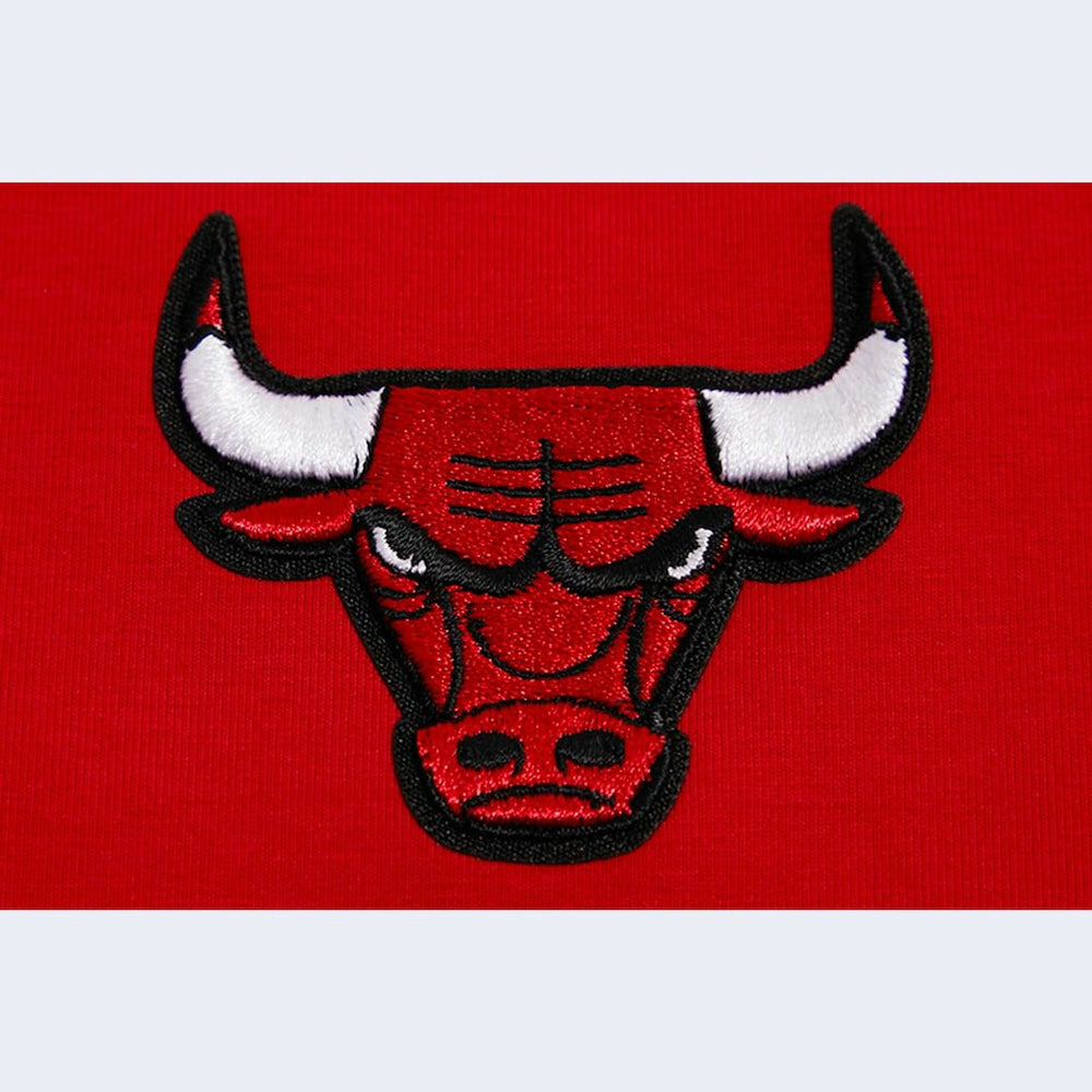 NBA - Chicago Bulls Pro Standard Women's Script Tank Top - Red