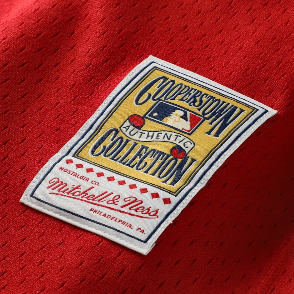 Johnny Bench Cincinnati Reds Mitchell & Ness Authentic Batting Practice Jersey - Scarlet | MLB Jerseys