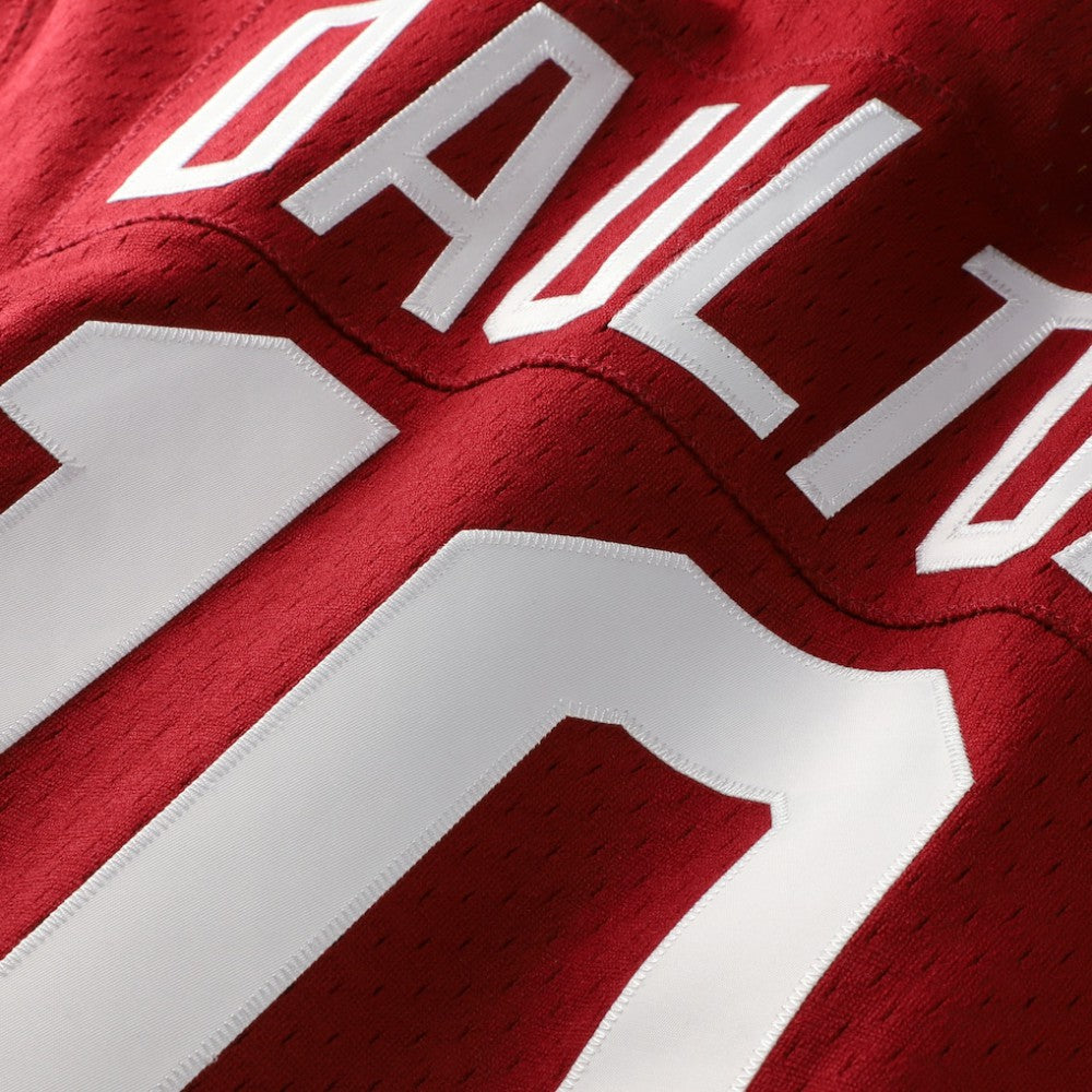 Darren Daulton Philadelphia Phillies Mitchell & Ness Authentic Batting Practice Jersey Near Me