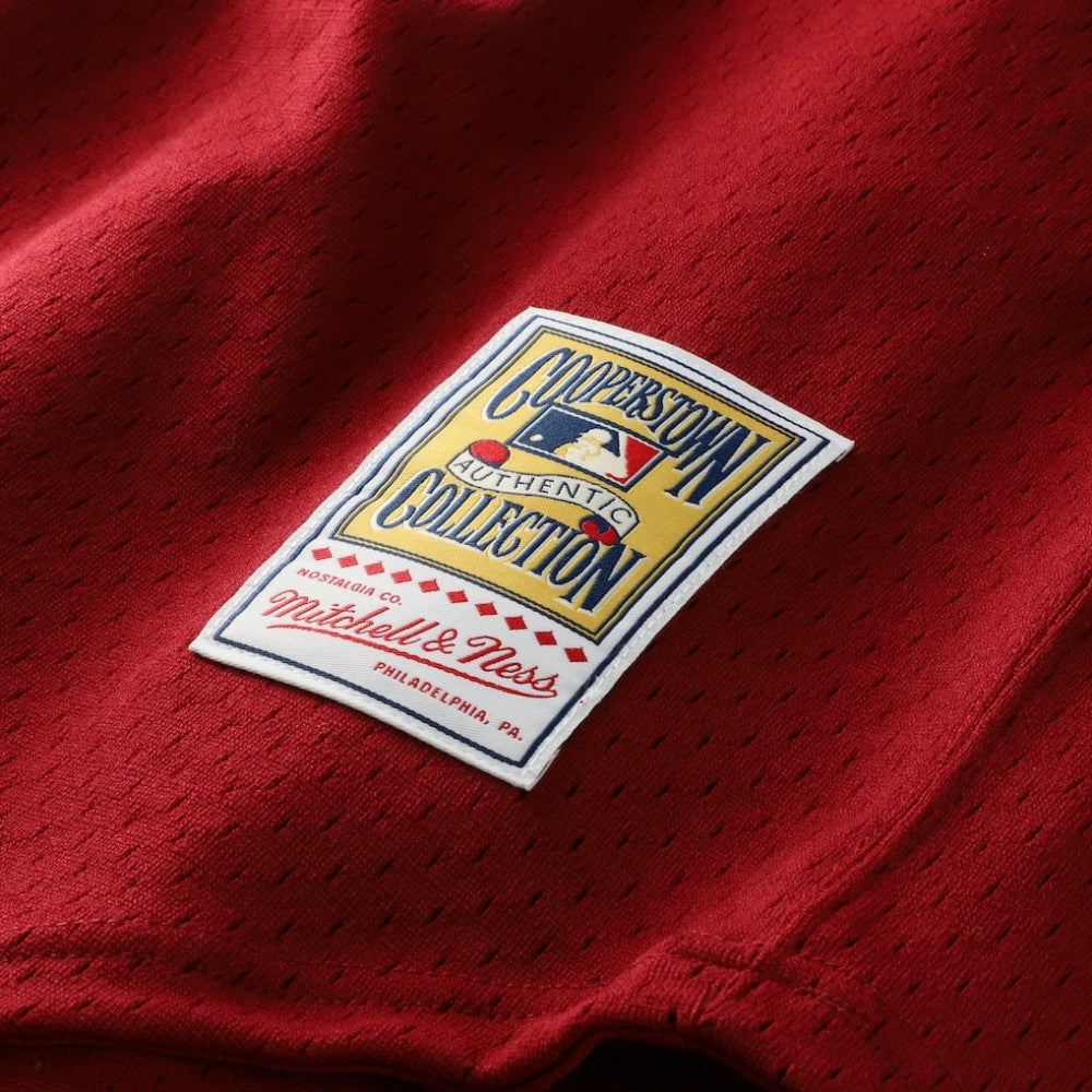Darren Daulton Philadelphia Phillies Mitchell & Ness Authentic Batting Practice Jersey Near Me