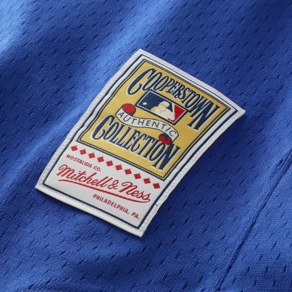 Nolan Ryan Texas Rangers Mitchell & Ness Authentic Batting Practice Jersey Clearance