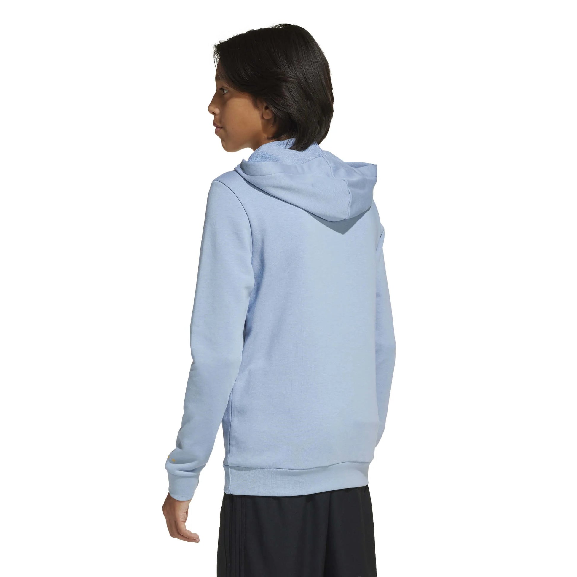 2025-26 Argentina Youth Anniversary DNA Soccer Hoodie | Adidas Sale