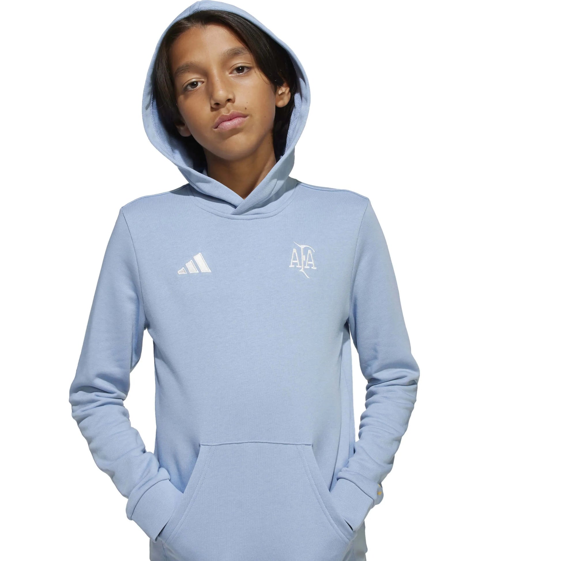 2025-26 Argentina Youth Anniversary DNA Soccer Hoodie | Adidas Sale