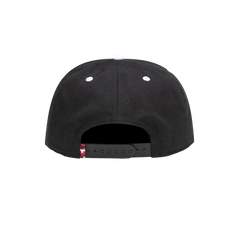 Fan Ink Collection USA Bankroll Snapback Hat