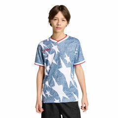 USA Youth Denim Graphic Jersey | Adidas Online